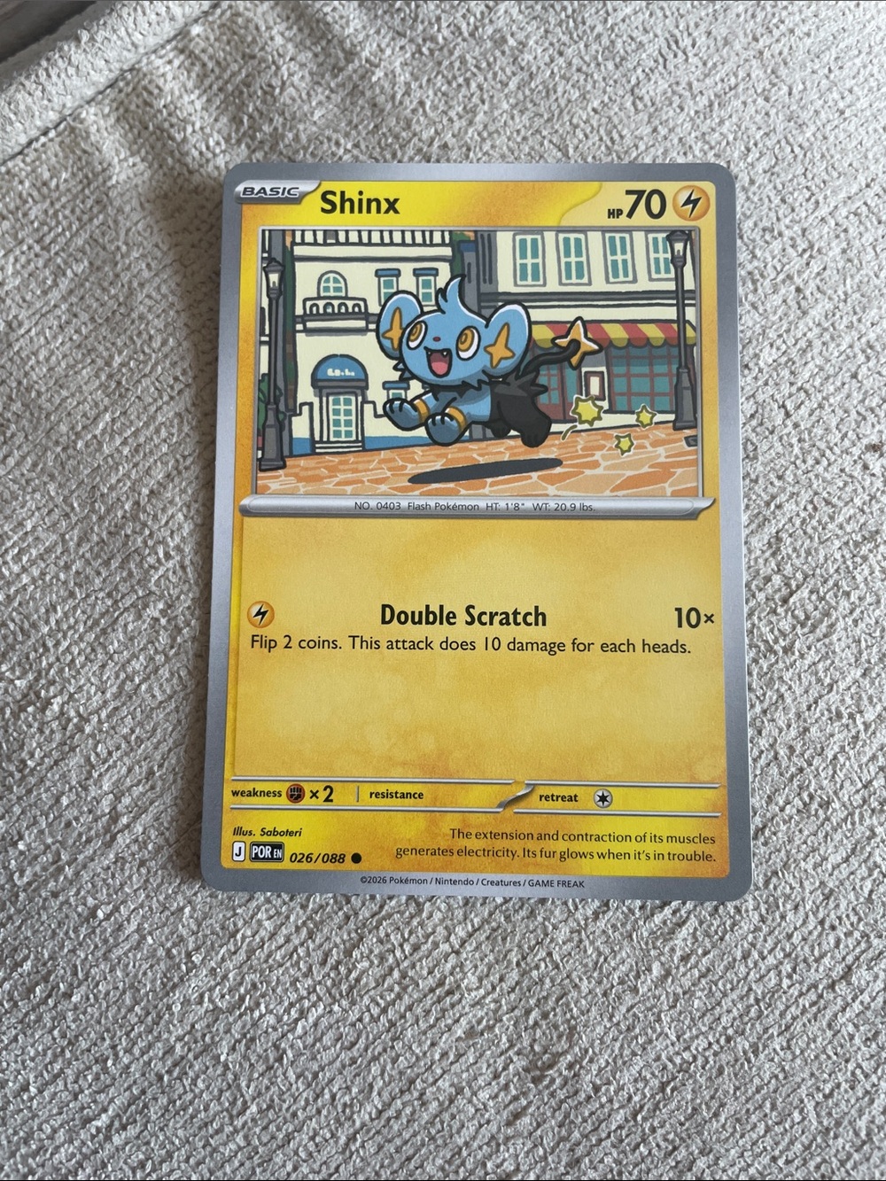 Shinx Pokémon Trading Card